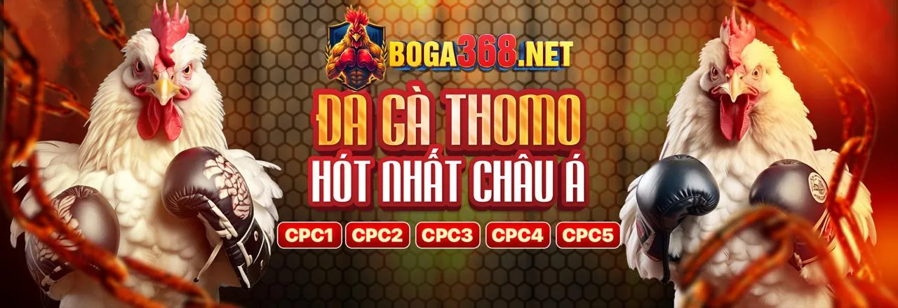 Hình ảnh đại diện chương trình đối tác Onbet